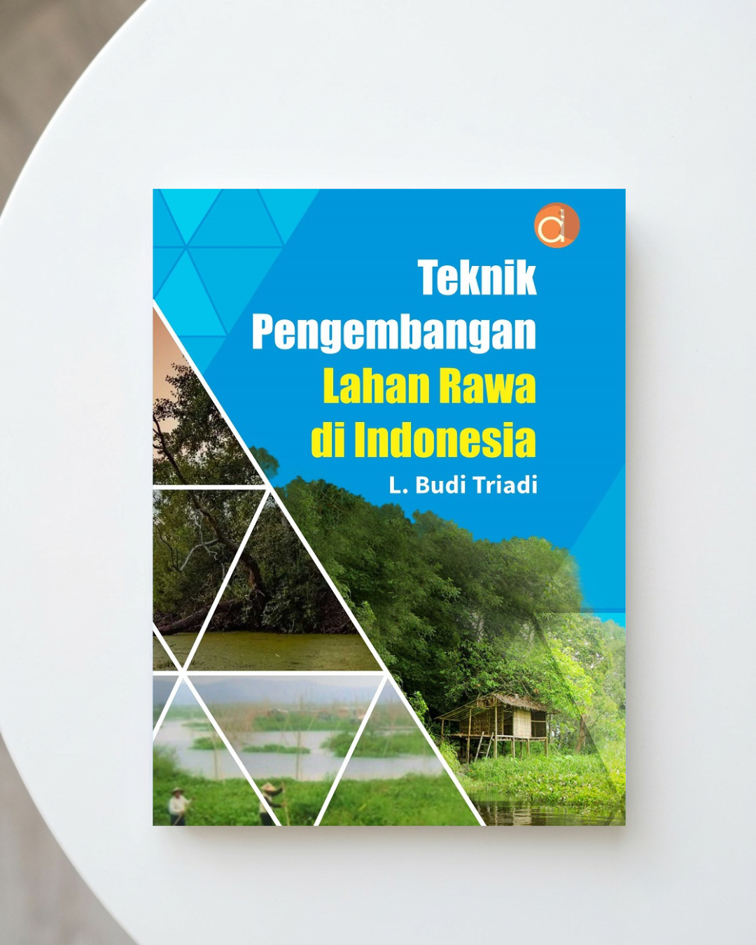 Teknik pengembangan lahan rawa di Indonesia