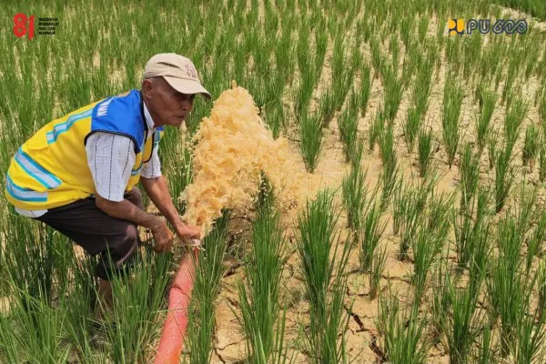 Atasi Kekeringan di Lahan Pertanian Sarolangun, Kementerian PU Kerahkan Pompa Air
