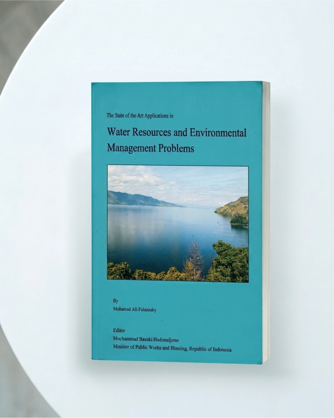 Water Resources and Environtment Management Problems